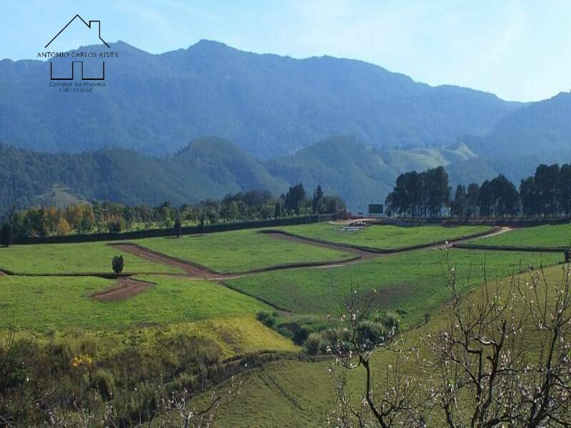 Terreno, 1000 m² - Foto 10