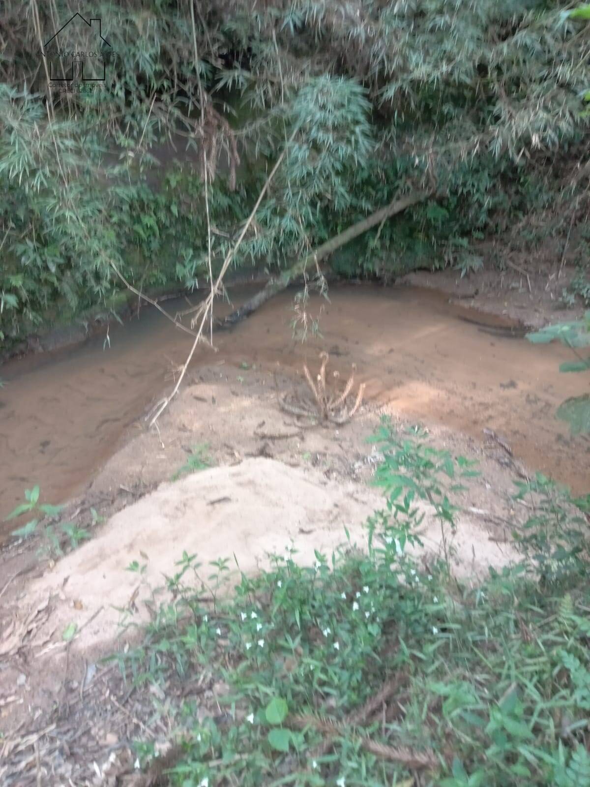 Terreno, 8000 m² - Foto 6