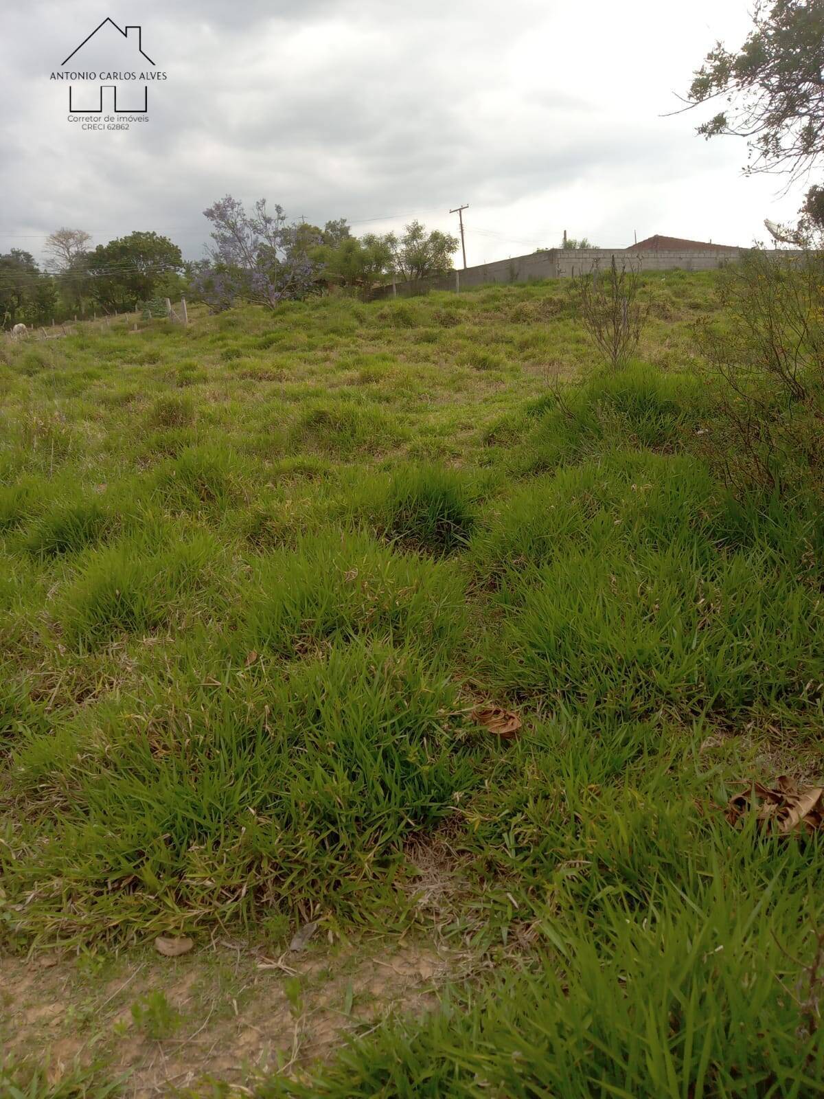 Terreno, 8000 m² - Foto 2