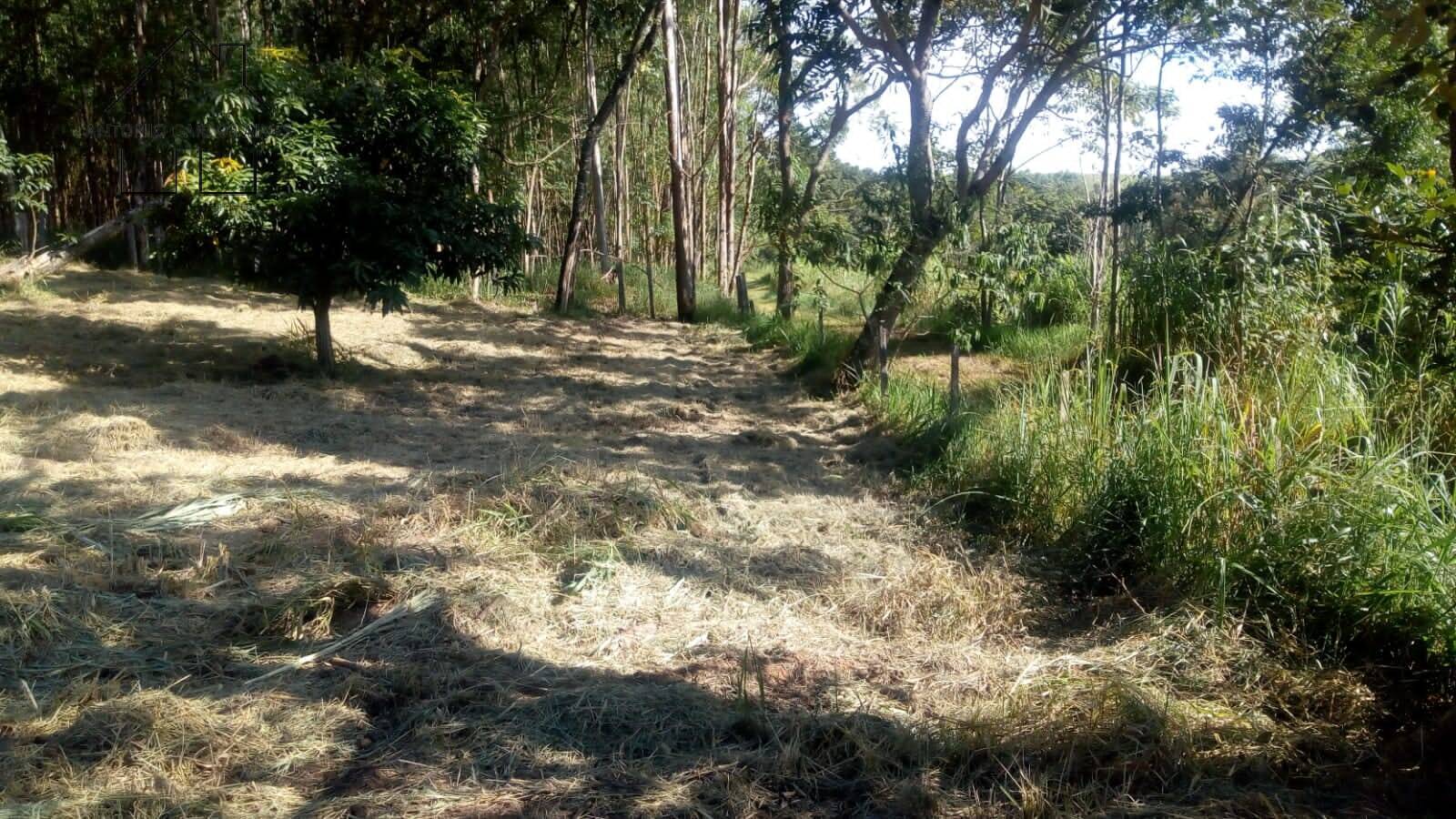 Terreno, 2837 m² - Foto 8