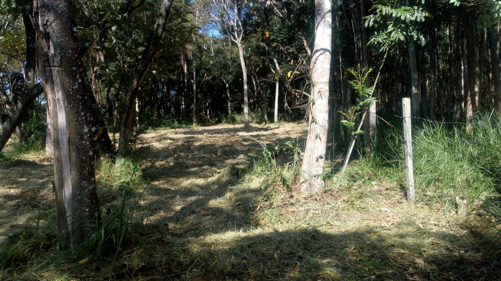 Terreno, 2837 m² - Foto 10