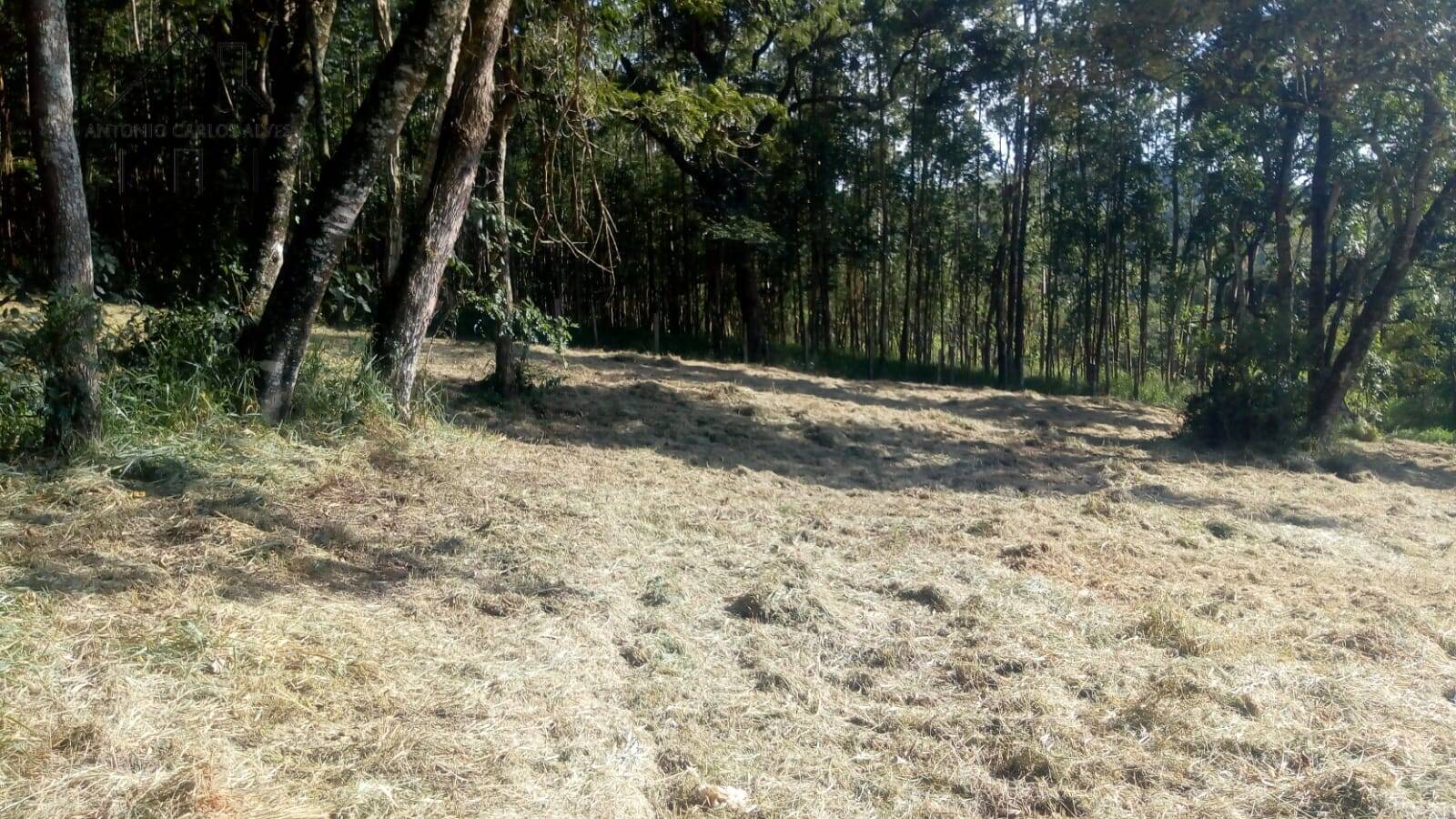 Terreno, 2837 m² - Foto 9
