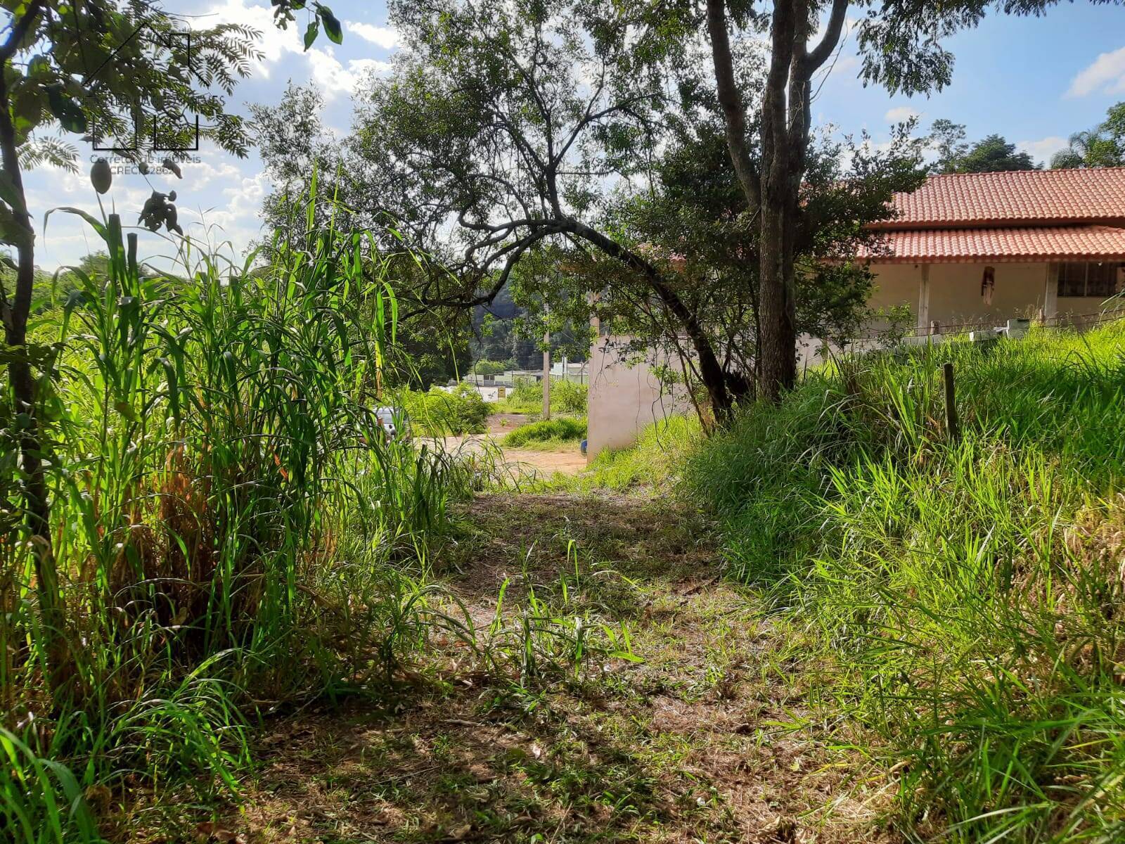 Terreno, 2837 m² - Foto 13