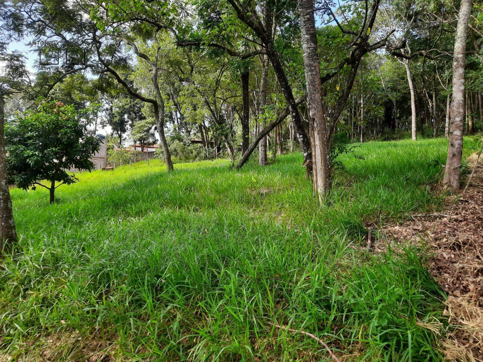 Terreno, 2837 m² - Foto 15
