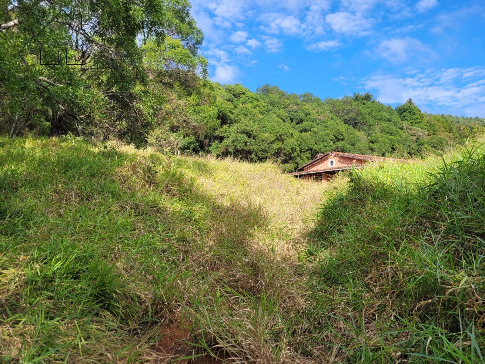 Sítio à venda com 3 quartos, 350m² - Foto 55