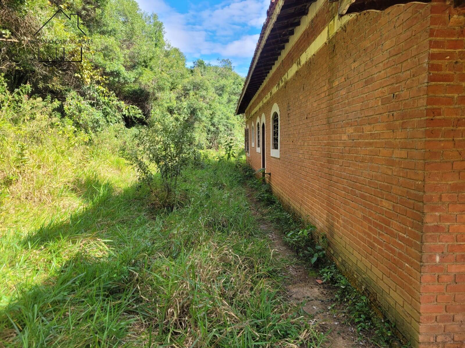 Sítio à venda com 3 quartos, 350m² - Foto 11
