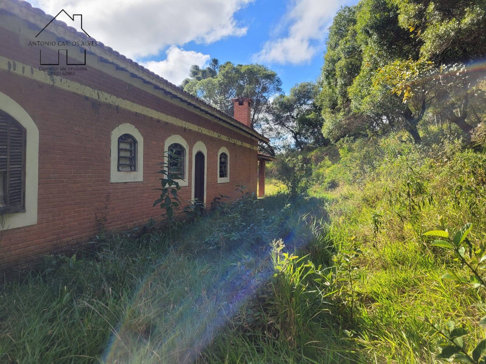 Sítio à venda com 3 quartos, 350m² - Foto 13