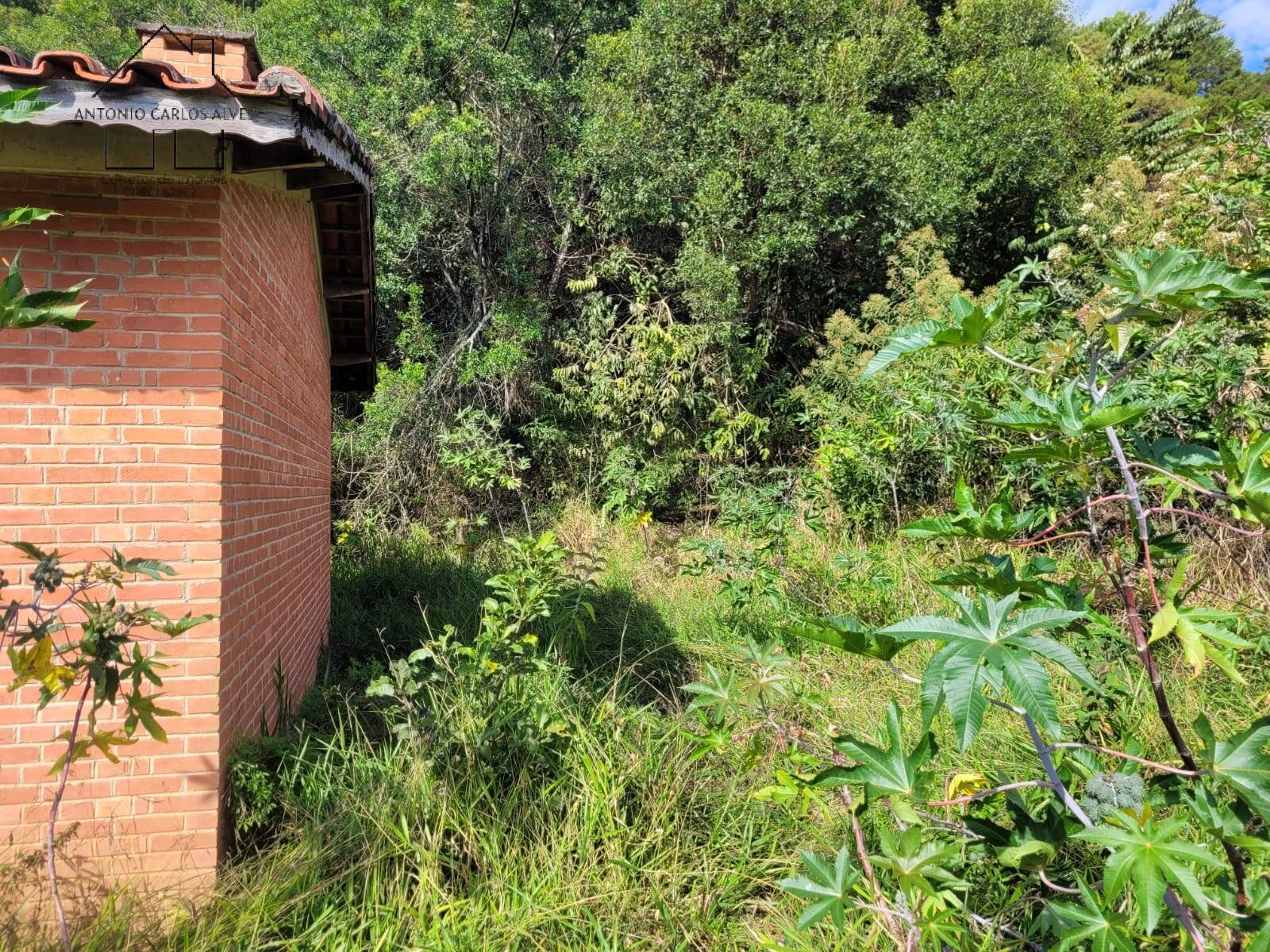 Sítio à venda com 3 quartos, 350m² - Foto 45