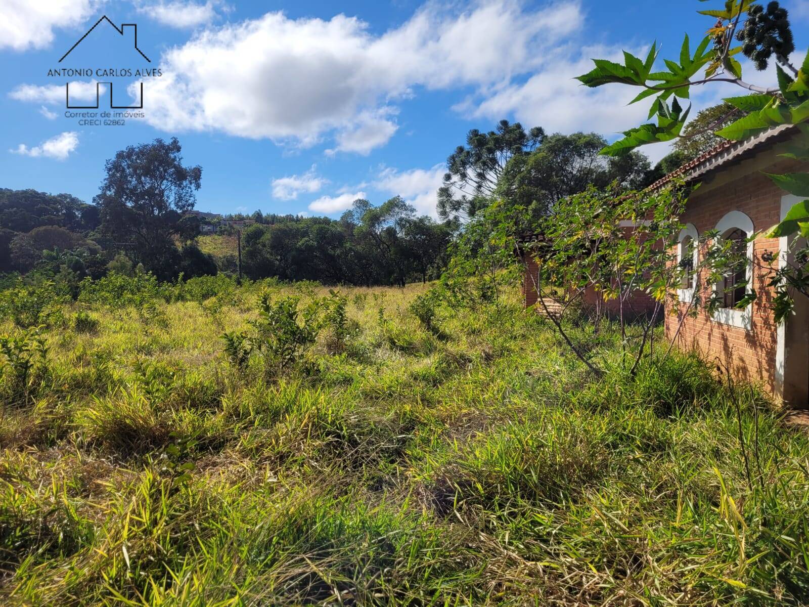 Sítio à venda com 3 quartos, 350m² - Foto 46
