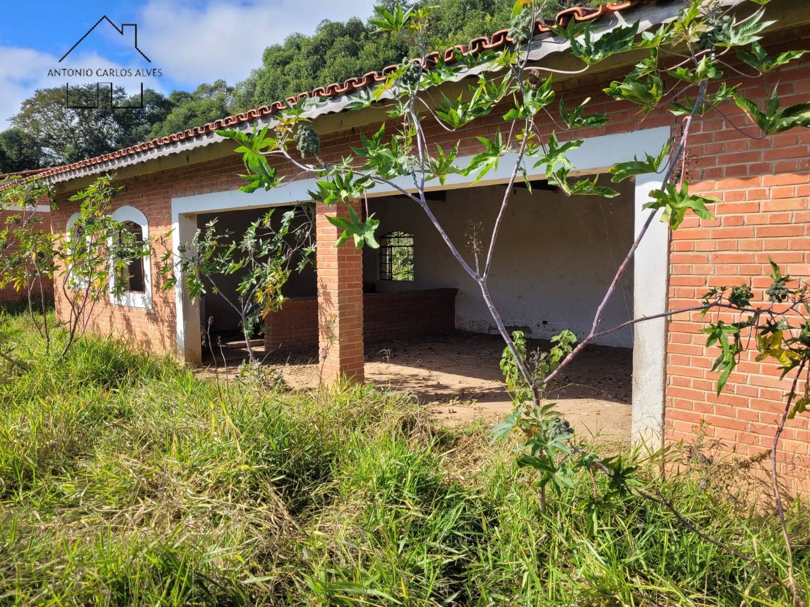 Sítio à venda com 3 quartos, 350m² - Foto 37