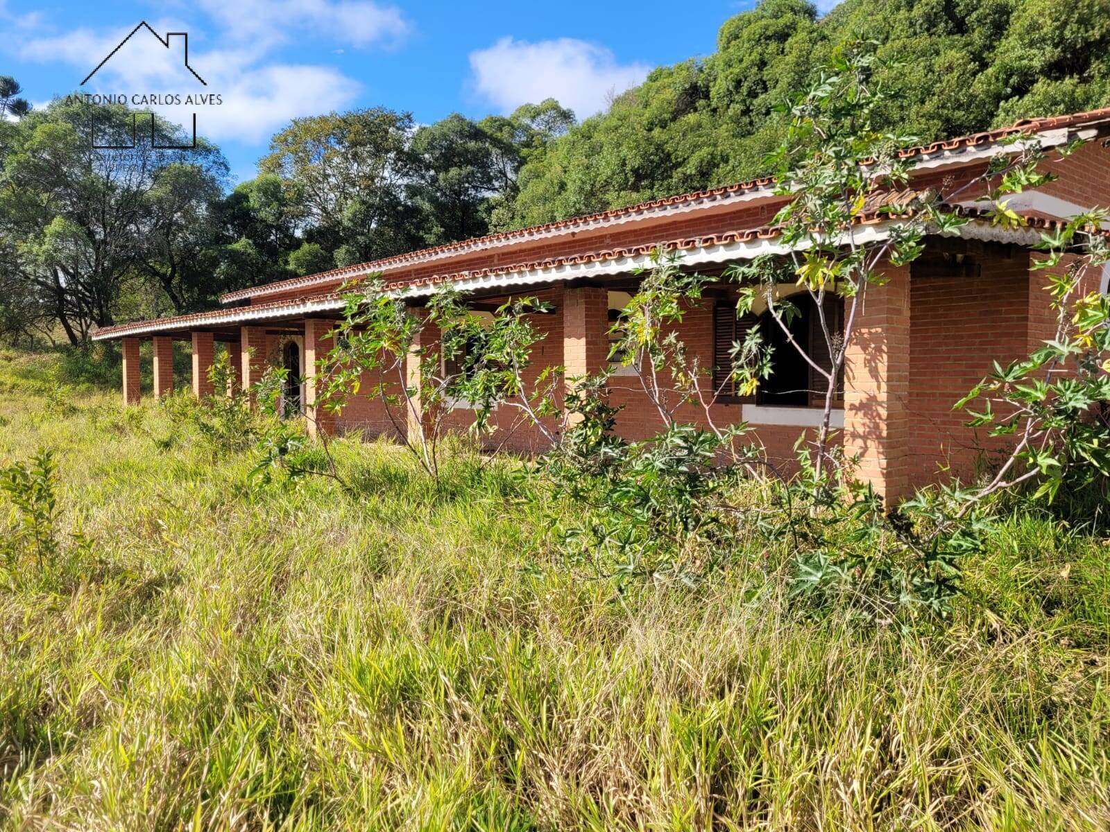 Sítio à venda com 3 quartos, 350m² - Foto 9
