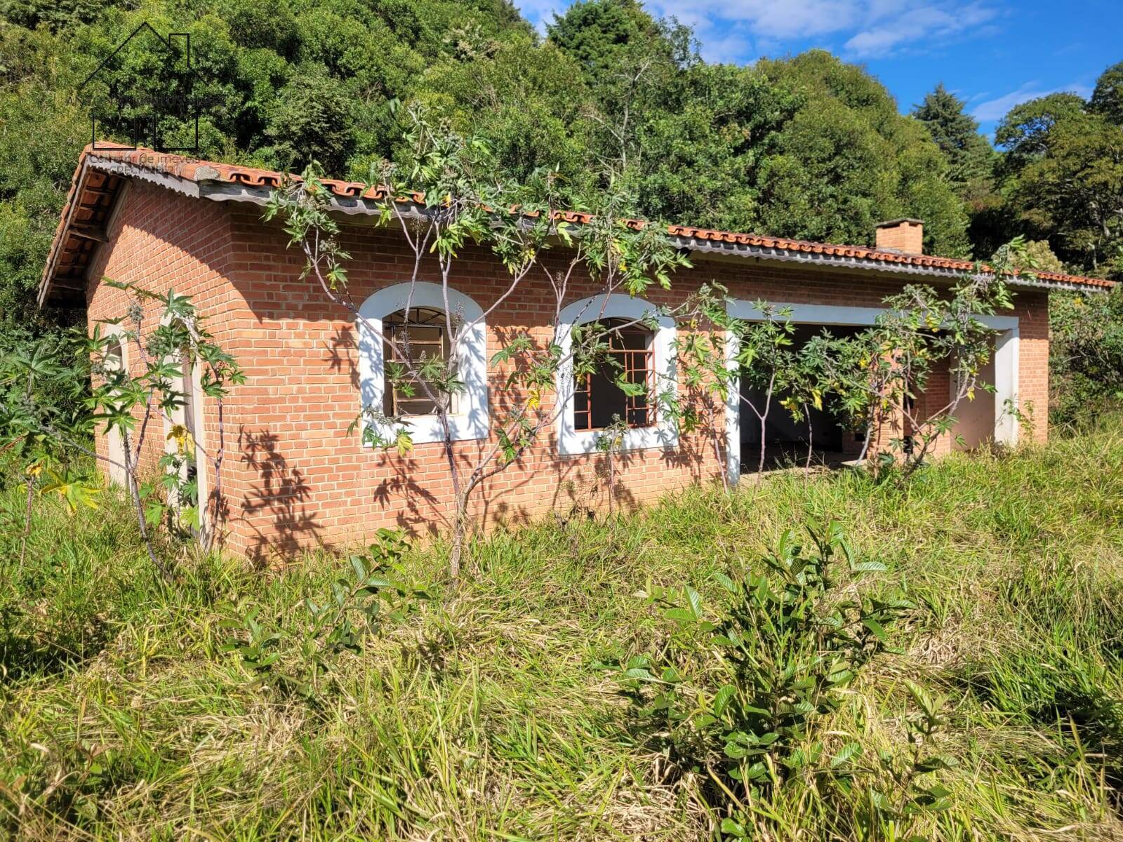 Sítio à venda com 3 quartos, 350m² - Foto 38