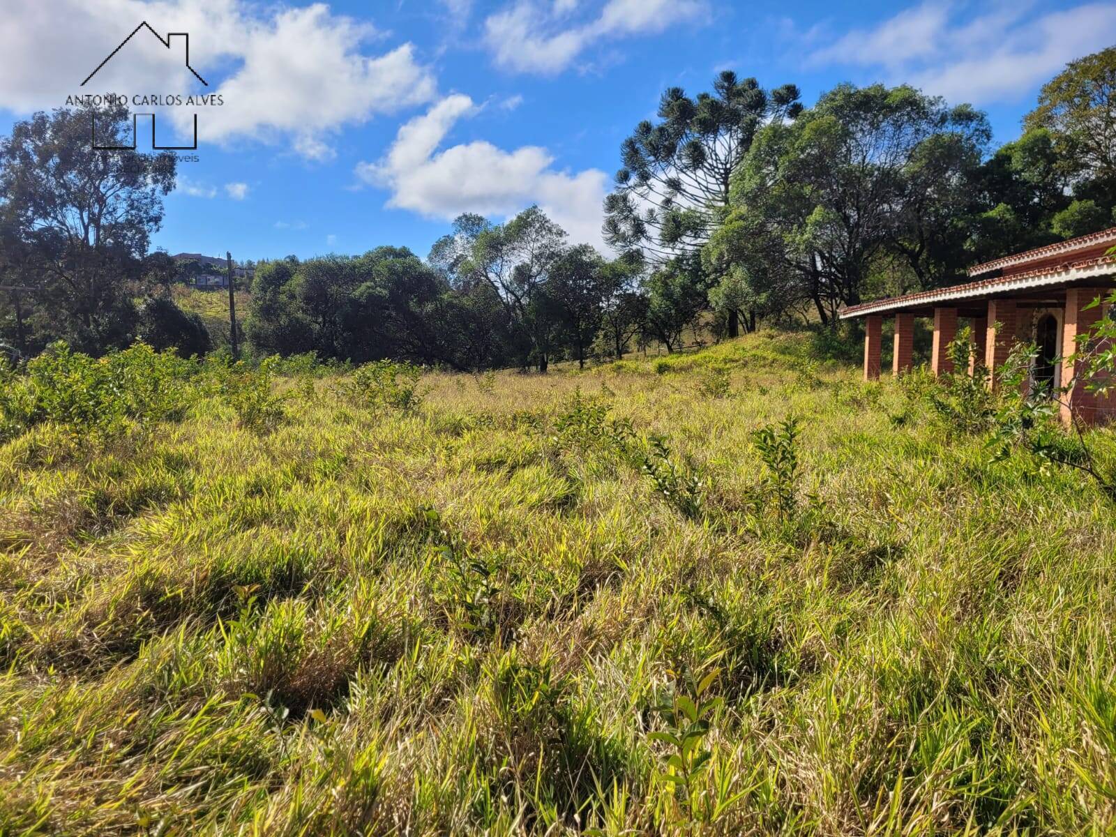 Sítio à venda com 3 quartos, 350m² - Foto 64