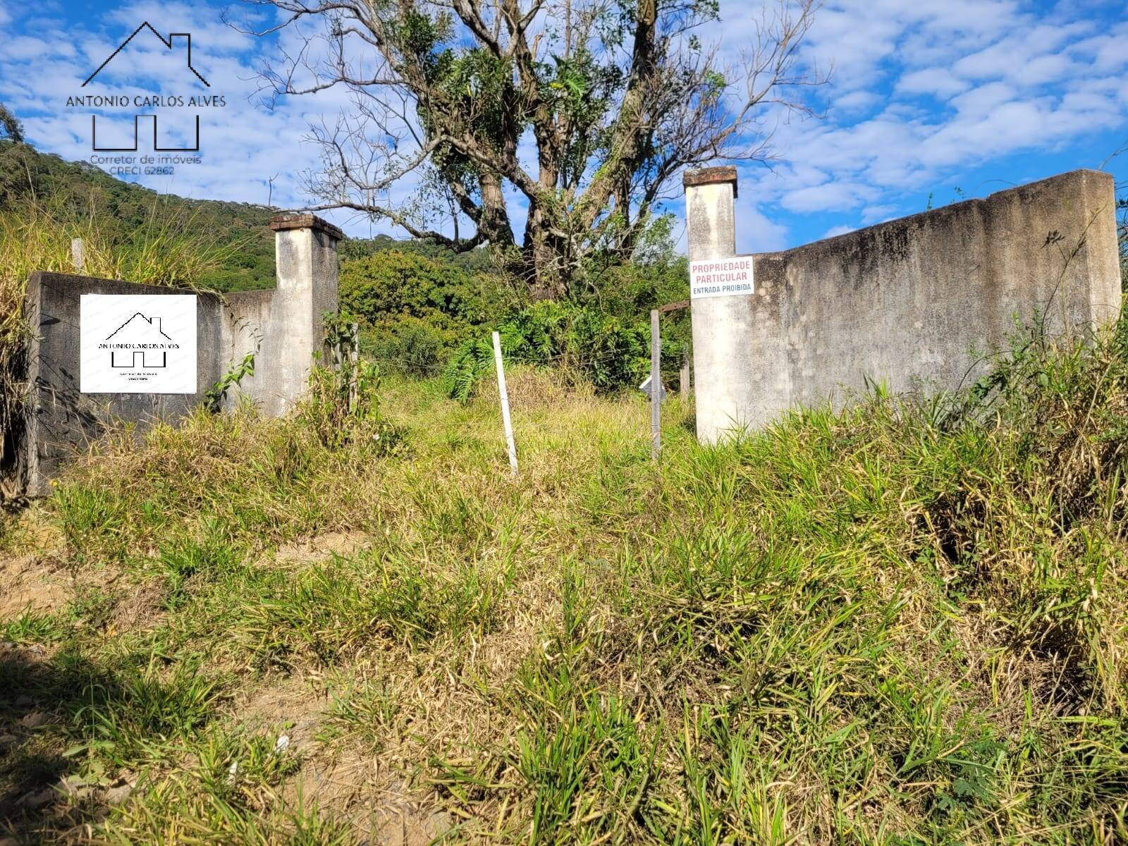 Sítio à venda com 3 quartos, 350m² - Foto 75