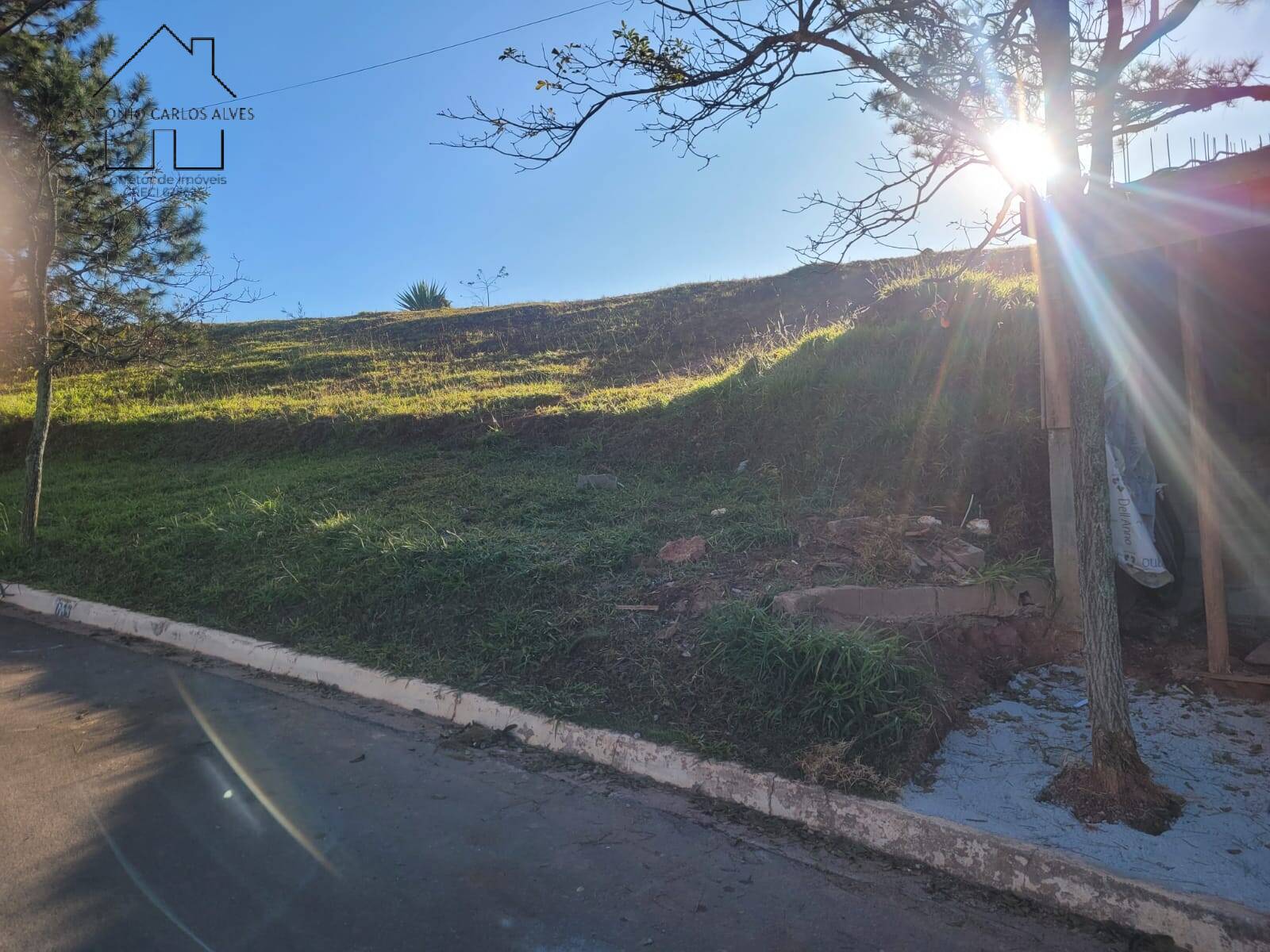 Terreno, 1506 m² - Foto 6