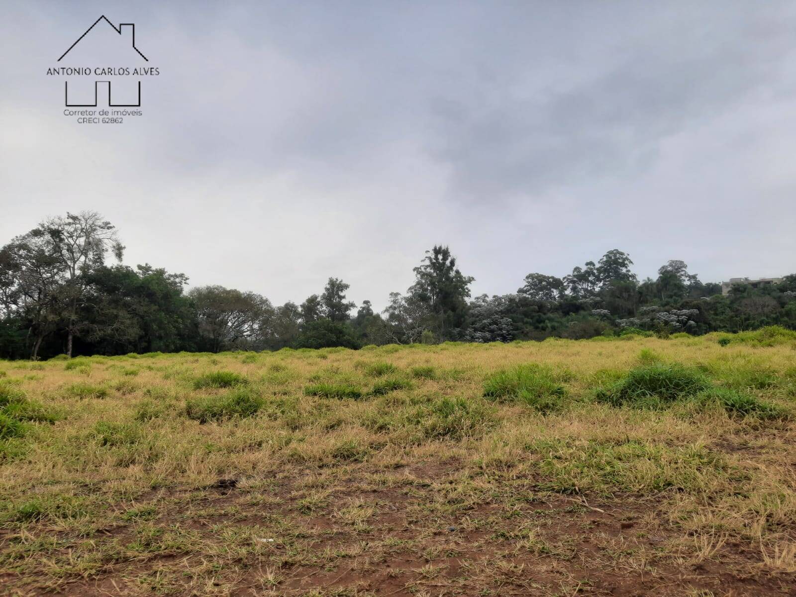 Terreno, 2 hectares - Foto 10