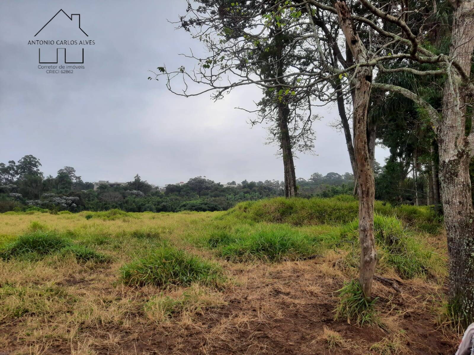Terreno, 2 hectares - Foto 8