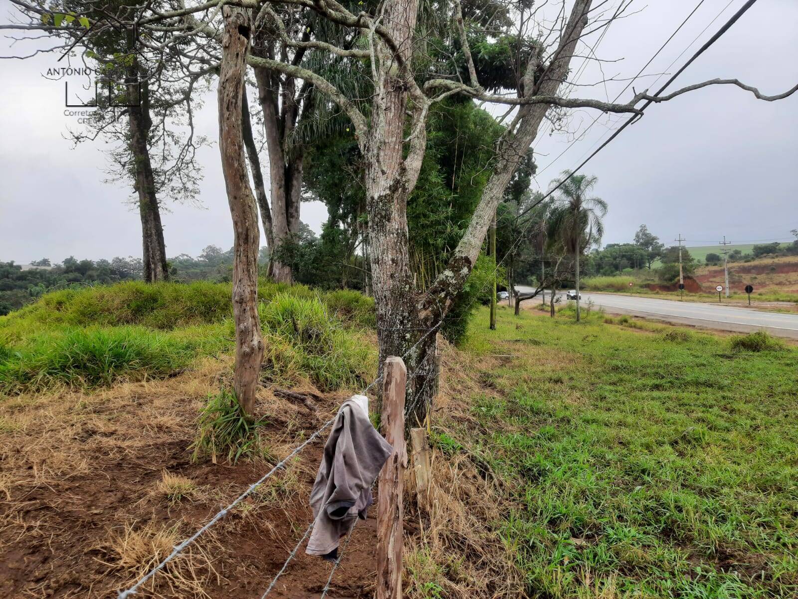 Terreno, 2 hectares - Foto 6
