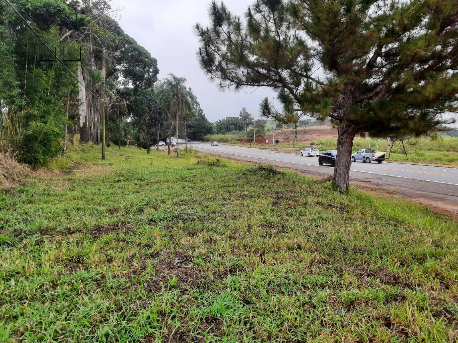 Terreno, 2 hectares - Foto 7