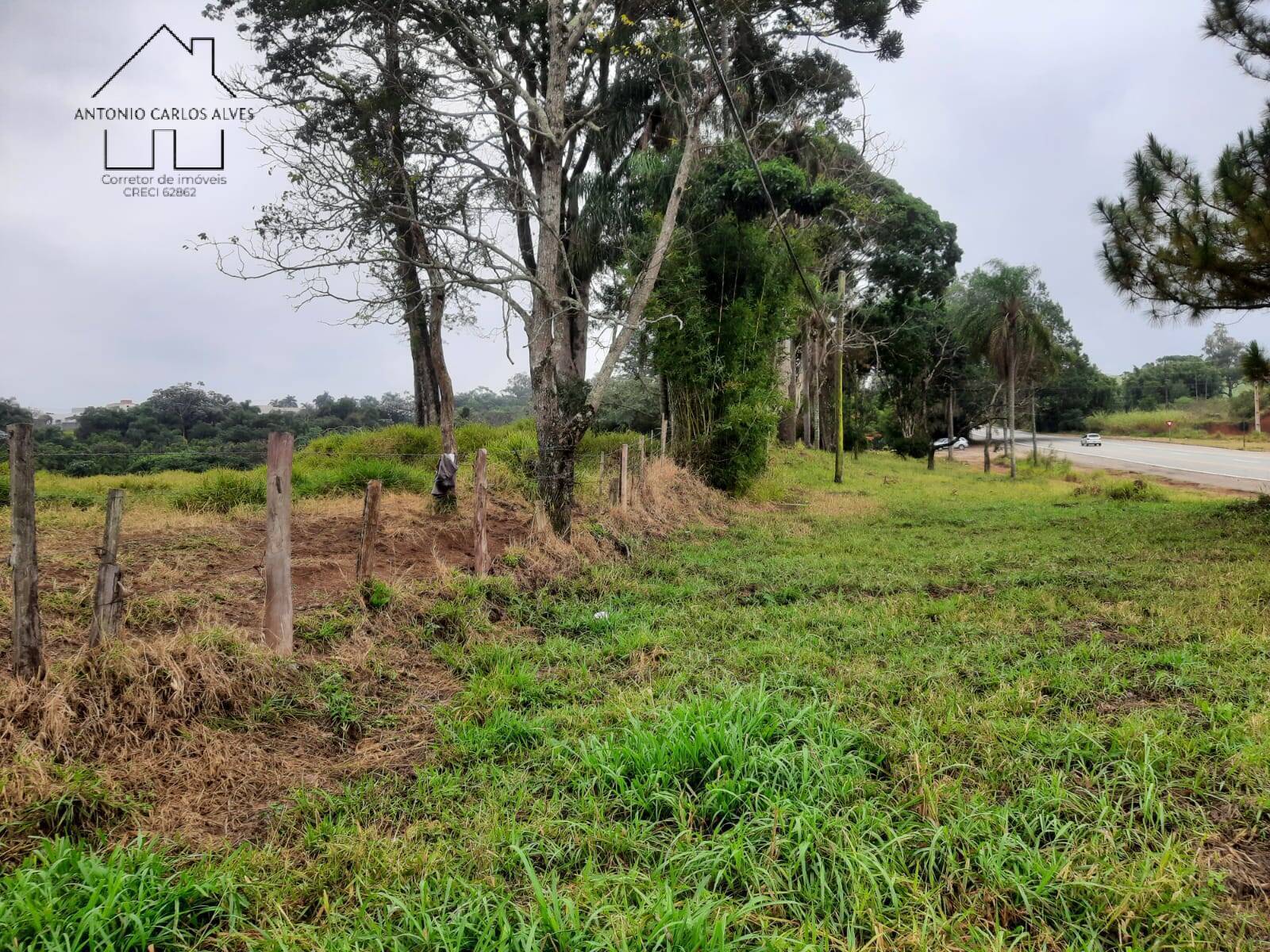 Terreno, 2 hectares - Foto 12