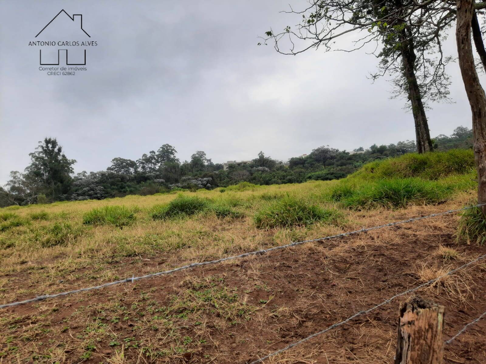 Terreno, 2 hectares - Foto 11