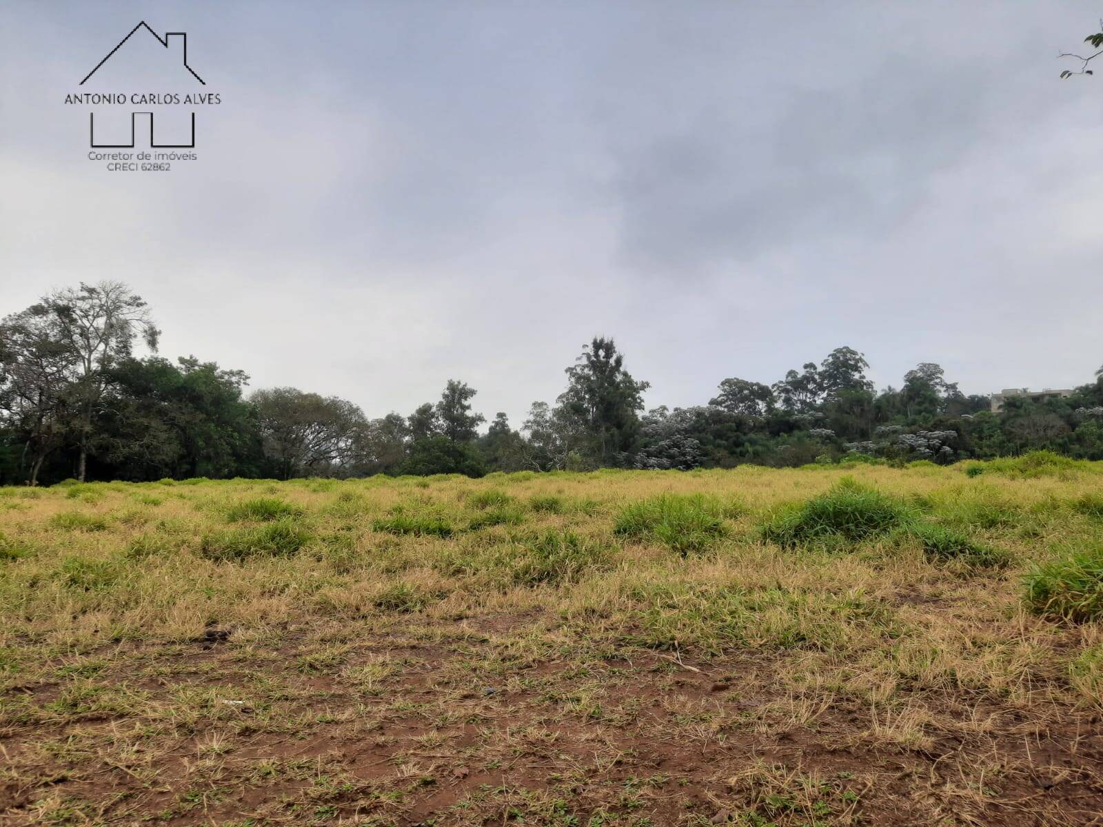 Terreno, 2 hectares - Foto 13