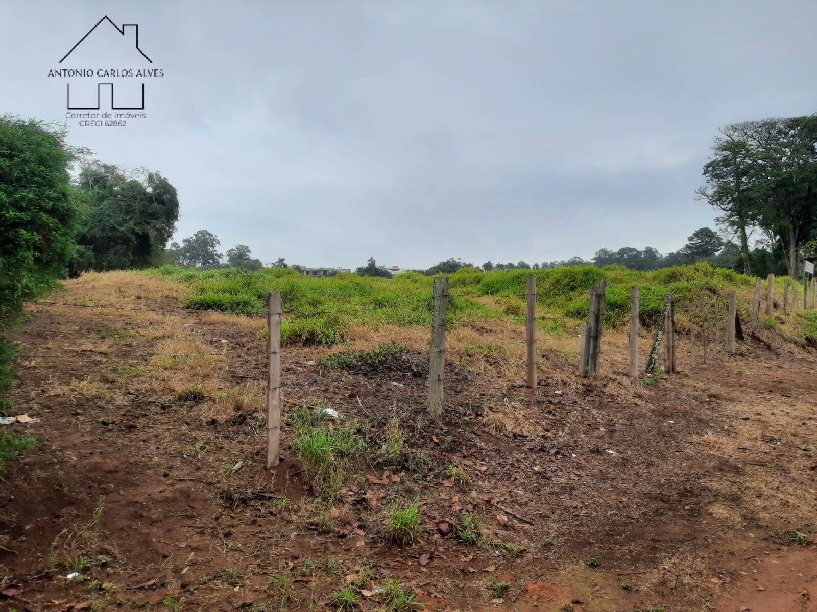 Terreno, 2 hectares - Foto 16