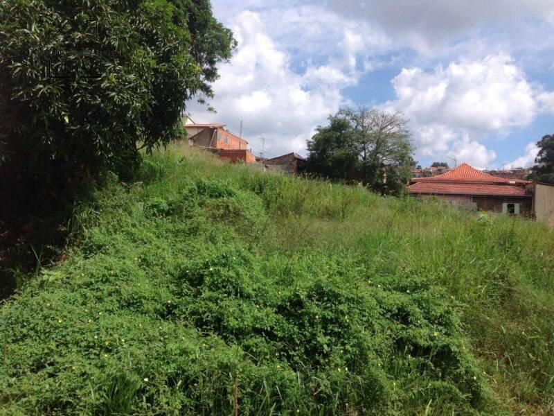 Terreno, 871 hectares - Foto 10
