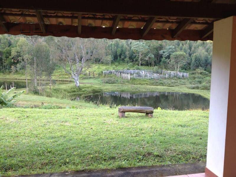 Fazenda, 61 hectares - Foto 6