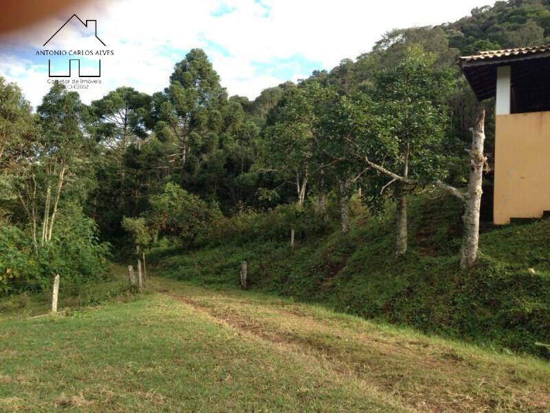 Fazenda, 61 hectares - Foto 10
