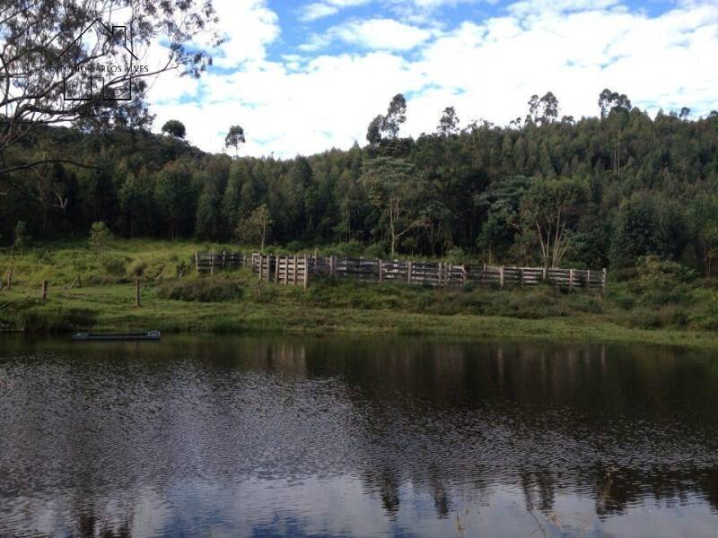 Fazenda, 61 hectares - Foto 7