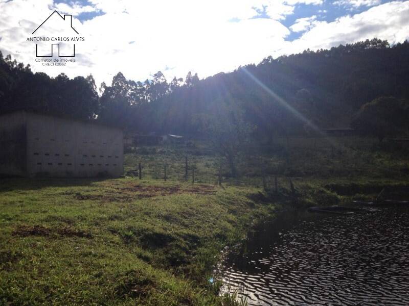 Fazenda, 61 hectares - Foto 9