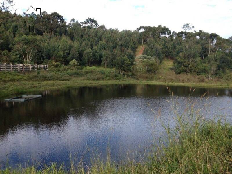 Fazenda, 61 hectares - Foto 11