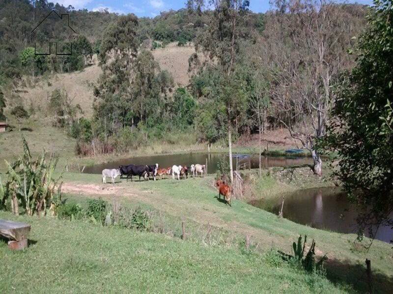 Fazenda, 61 hectares - Foto 12