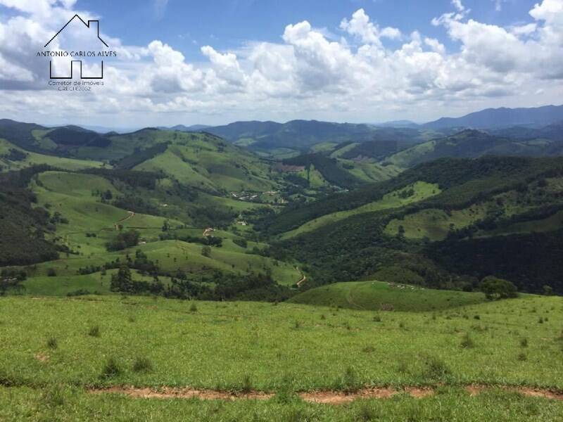 Fazenda, 61 hectares - Foto 14