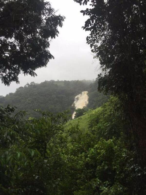 Fazenda, 61 hectares - Foto 19