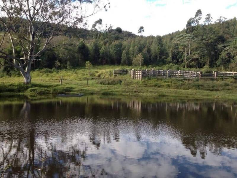 Fazenda, 61 hectares - Foto 30