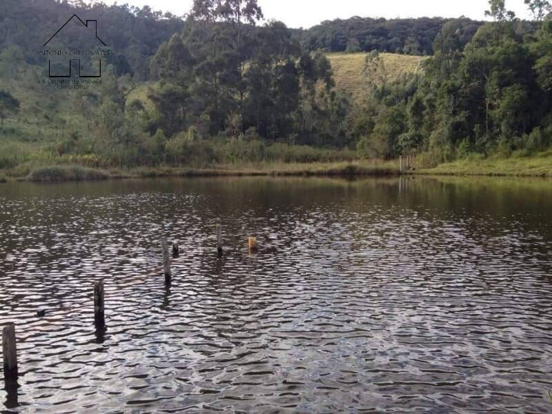 Fazenda, 61 hectares - Foto 34