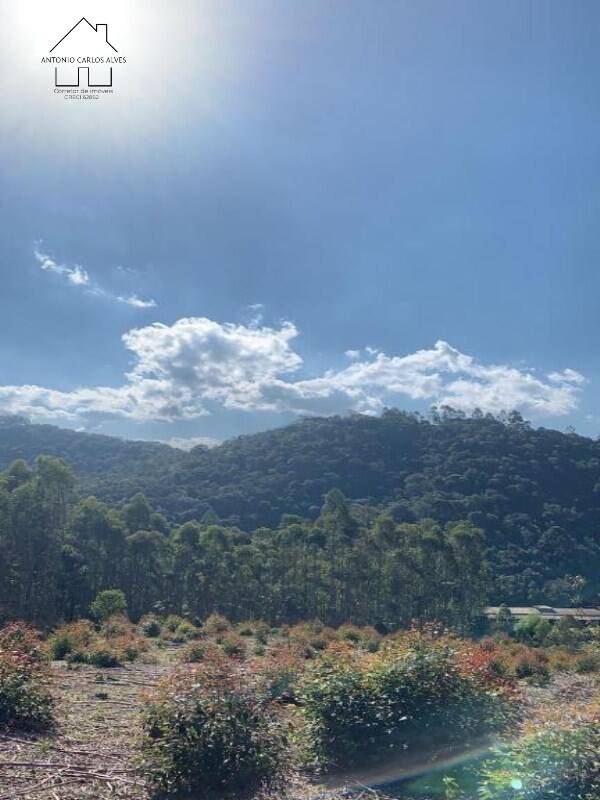 Fazenda, 61 hectares - Foto 38