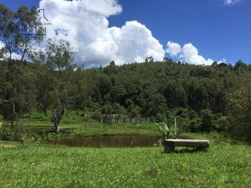Fazenda, 61 hectares - Foto 35