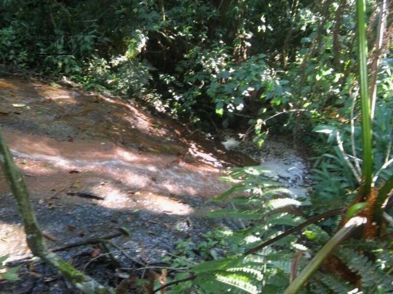 Fazenda, 61 hectares - Foto 37
