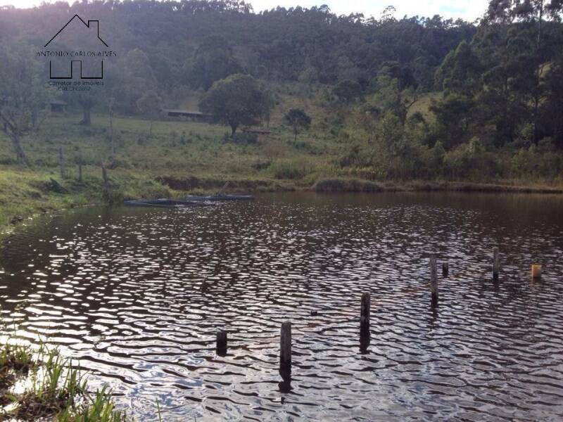 Fazenda, 61 hectares - Foto 36