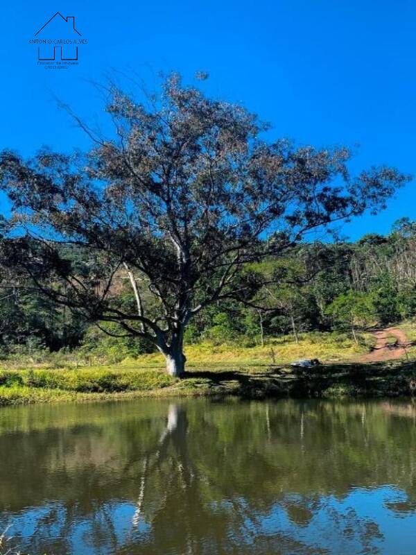 Fazenda, 61 hectares - Foto 41