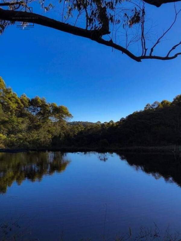 Fazenda, 61 hectares - Foto 42