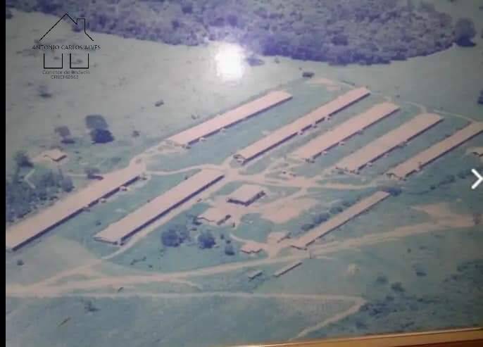 Fazenda, 61 hectares - Foto 44