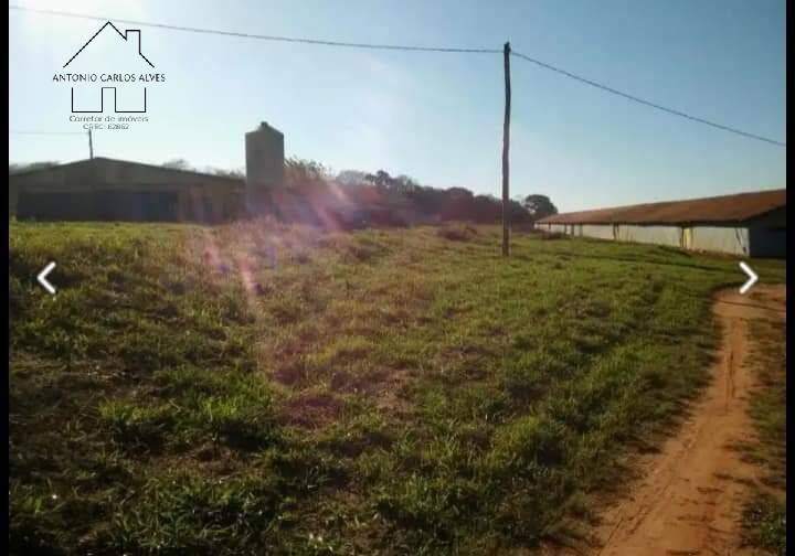 Fazenda, 61 hectares - Foto 47