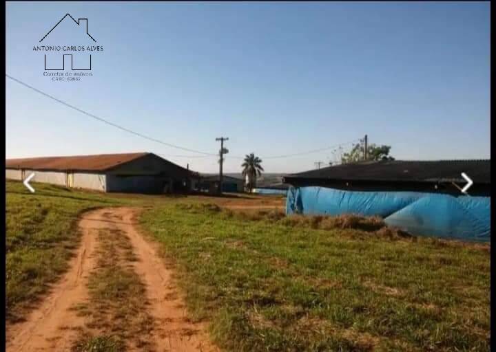 Fazenda, 61 hectares - Foto 52