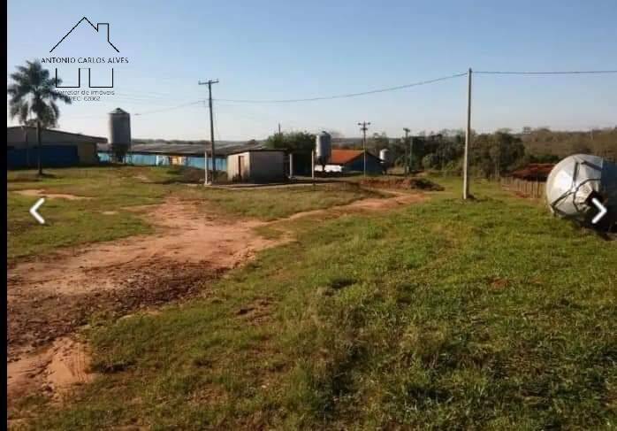 Fazenda, 61 hectares - Foto 53