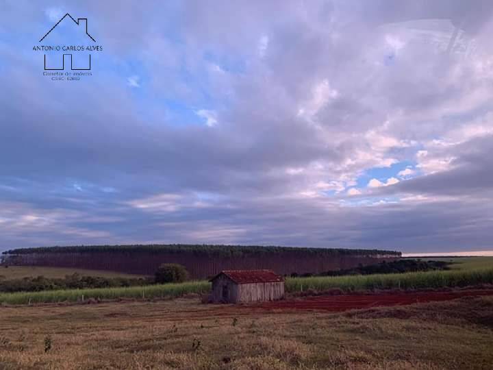Fazenda, 61 hectares - Foto 60