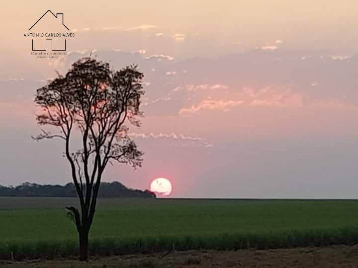 Fazenda, 61 hectares - Foto 59